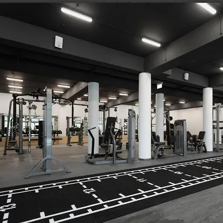 Brezovina Breza B115 Oravske Vesele