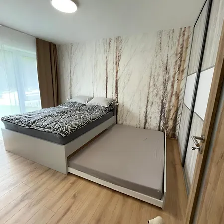 Brezovina Breza B115