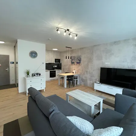 Brezovina Breza B115