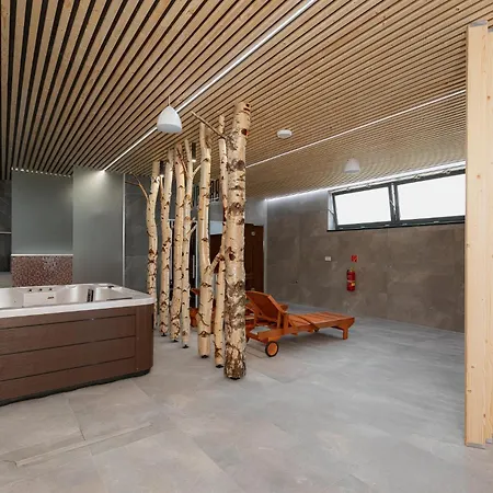 Brezovina Breza B115