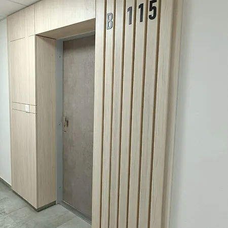 Brezovina Breza B115