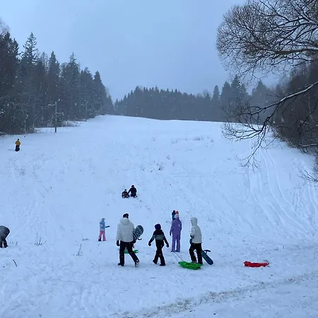 Brezovina Breza B115