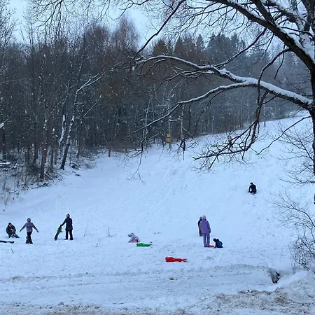 Brezovina Breza B115 Daire *