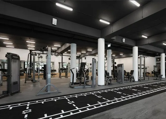 Brezovina Breza B115 Oravske Vesele