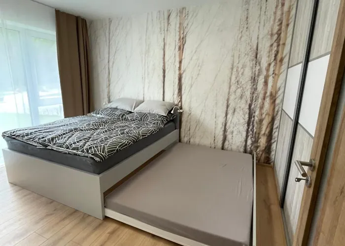 Brezovina Breza B115